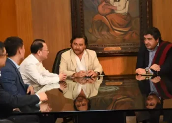 Ganfeng Lithium invertirá 2.000 millones de dólares en un nuevo proyecto de litio en Salta