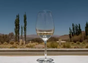 Capacitación gratuita para prestadores turísticos en la Semana del Torrontés de Altura