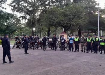 San Martín: Operativos Protección Ciudadana en el departamento