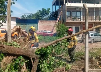 Aguas Blancas: Defensa Civil intervino en las zonas afectadas por el temporal