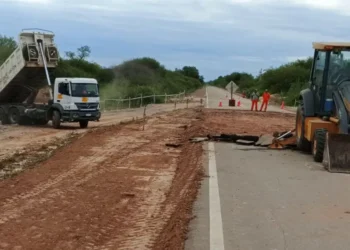 Vialidad realiza tareas para mitigar problemáticas en la ruta 54
