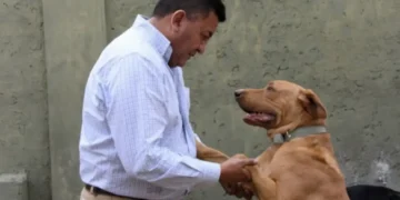 Rosario de Lerma: Comienza a funcionar, de manera gratuita, un móvil de castración adquirido por la gestión municipal