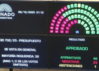 A puro ajuste y alianzas inesperadas: el Senado convierte en ley el Presupuesto 2026 en una votación polémica