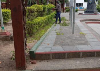 Aguaray: Embellece sus espacios públicos con trabajos de poda y mantenimiento de la Plazoleta Eva Perón