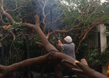 Orán: Trabajos de despeje luego de la tormenta