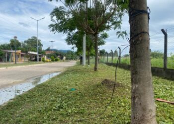 Aguaray: Trabajos de mantenimiento en espacio públicos