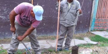 Orán: Ecología municipal continúa con tareas de forestación urbana