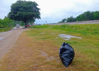 Orán: Limpieza en Parque de la Familia