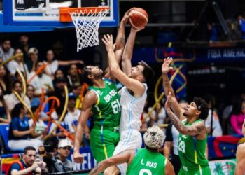 Argentina no pudo y Brasil es el campeón de la Americup