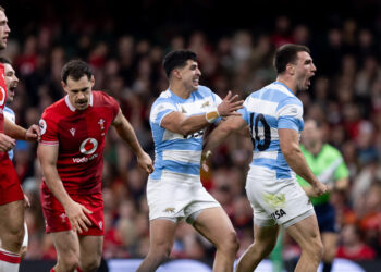 Los Pumas golearon a Gales con la mira en la clasificación al Mundial