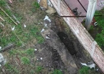 Hallan cadáver de mujer en Tristán Suárez; sospechan de su hija de 15 años