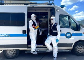 Escándalo en Salta: morcillas con restos felinos en una carnicería