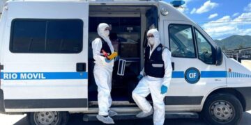 Escándalo en Salta: morcillas con restos felinos en una carnicería