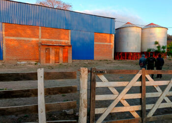 Tartagal: imputan a un exdiputado y cinco personas por contrabando agravado de granos