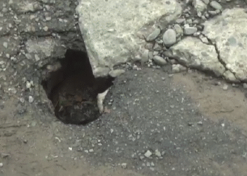 Calles al borde del colapso en Tartagal: hundimientos, pérdidas cloacales y una gestión que no da respuestas