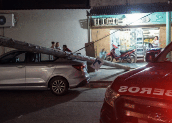 Cayó un poste de madera sobre un automóvil en pleno centro de Mosconi y expuso la grave falta de control municipal