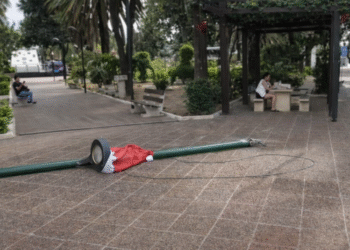 Postes electrificados en la plazoleta Ara San Juan: negligencia municipal, advertencias ignoradas y un accidente que pudo ser fatal