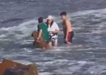Un héroe! Un joven se metió al mar para salvar a un perro que fue arrastrado por las olas.
