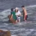 Un héroe! Un joven se metió al mar para salvar a un perro que fue arrastrado por las olas.