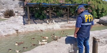 Mar del Plata: allanaron el parque marino “Aquarium” por presunta contaminación