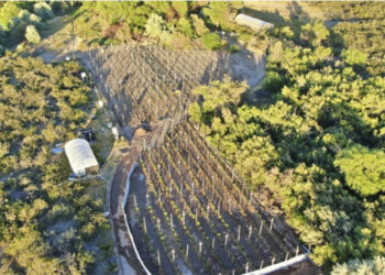 Desbaratan red narco en Río Negro: 13 allanamientos, 11 detenidos y un dron atacado a escopetazos