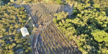 Desbaratan red narco en Río Negro: 13 allanamientos, 11 detenidos y un dron atacado a escopetazos