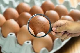 📰 📉 Los casos de salmonelosis disminuyeron un 90 % en la provincia de Salta