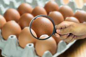 📰 📉 Los casos de salmonelosis disminuyeron un 90 % en la provincia de Salta