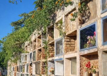 Abandono total y desidia oficial: denuncian el estado crítico del cementerio de Mosconi