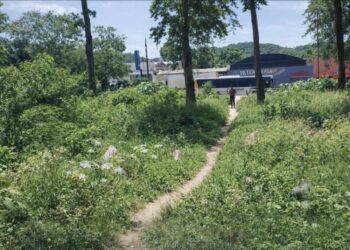 Pastizales, víboras y desidia oficial: el reclamo vecinal que el municipio de Salvador Mazza sigue sin resolver