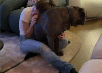 Polémica por un video de la China Suárez con Tano, el perro de Wanda e Icardi