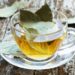 Té de laurel: el aliado natural para la digestión, el estrés y la salud respiratoria
