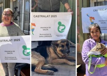 San Lorenzo: Participó de CASTRALAT, una jornada de castración masiva