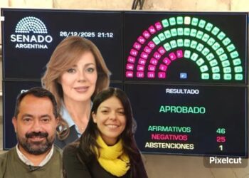 Con apoyo clave de los senadores salteños, el Senado dio luz verde a un Presupuesto que redefine el rumbo del Estado