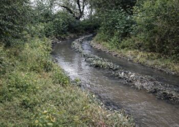 Cloacas a cielo abierto y desidia municipal: Pueblo Nuevo expone el abandono sanitario en Tartagal