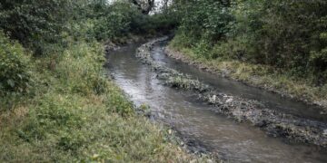 Cloacas a cielo abierto y desidia municipal: Pueblo Nuevo expone el abandono sanitario en Tartagal