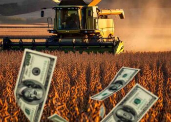 🌾 Retenciones cero, agro sin impuestos, el pueblo sin comida:  la última maniobra desesperada para evitar el colapso económico, aunque suba el precio de los alimentos