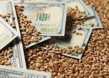 💸 Retenciones cero: el costo fiscal equivale al 46% del superávit financiero de 2025