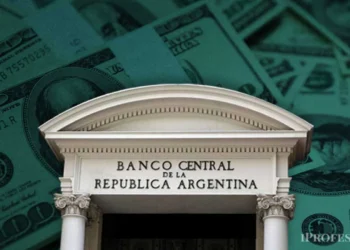 💸 Fuerte caída del ingreso de dólares del agro golpea al mercado cambiario