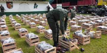 Salta: decomisan más de 31 kilos de cocaína ocultos en cajones de berenjenas