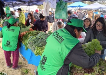 “El Mercado en tu Barrio” llega a Ciudad del Milagro con productos hasta un 30% más baratos