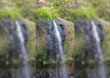 Misterio en Misiones: hallan sin vida a un hombre en Salto Mariposa