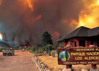 📌El Gobernador Torres denunció amenazas y vinculó los incendios en Chubut con grupos violentos