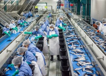 🐟 Emergencia pesquera: la actividad se desplomó 82,8% y tocó fondo desde la pandemia