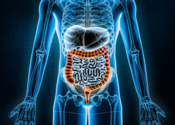 📰 🥦 Siete claves para mantener los intestinos sanos, según expertos