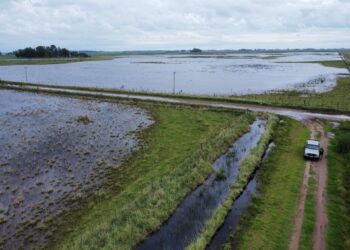 🌊 Productores rurales estallan: reclamos, inundaciones y obras paralizadas
