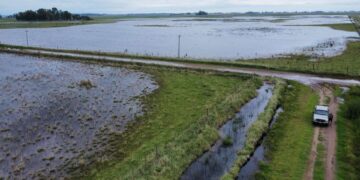 🌊 Productores rurales estallan: reclamos, inundaciones y obras paralizadas