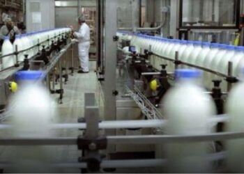 🥛 Crisis láctea sin precedentes: cuatro gigantes al borde del colapso