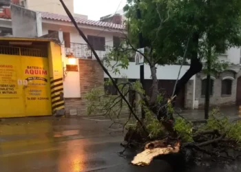 La Municipalidad actuó en más de 30 emergencias tras la fuerte tormenta