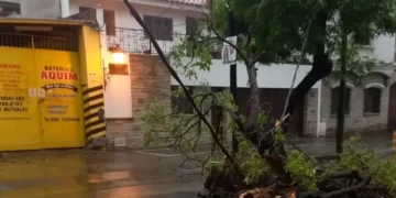 La Municipalidad actuó en más de 30 emergencias tras la fuerte tormenta